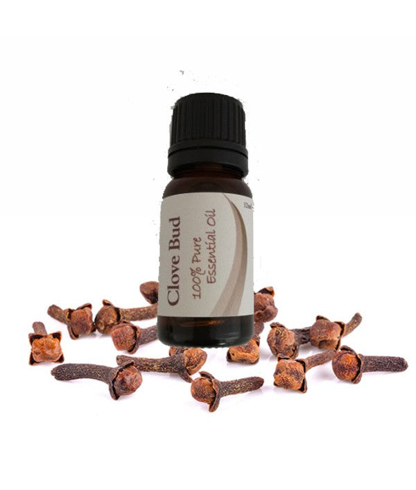 Viola Essential Oil - Clove Bud 12ml